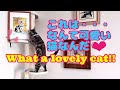 39.ララの絵を貰いました／I got a painting of Lala
