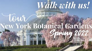 NY Botanical Garden Bronx New York 2022 walk around tour