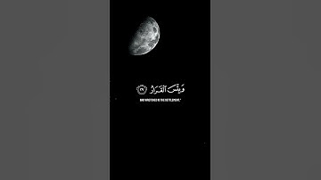 ۞ أَلَمْ تَرَ إِلَى الَّذِينَ بَدَّلُوا نِعْمَتَ اللَّهِ كُفْرًا | القارئ:علي_الكردي✨💛