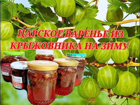 ШОК. САМЫЙ ПРОСТОЙ РЕЦЕПТ. ЦАРСКОЕ ВАРЕНЬЕ из КРЫЖОВНИКА на ЗИМУ. ВКУСНО,ПРОСТО И ПОЛЕЗНО #Shorts