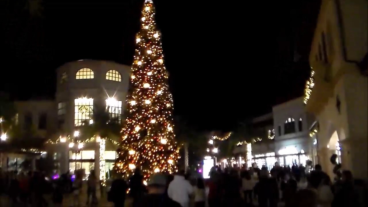 30 Best Decorated Christmas Trees 2017