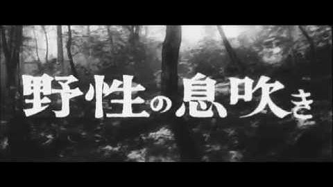 曲谷守平監督『九十九本目の生娘』(1959) 予告編