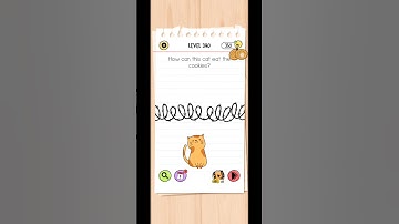 How can this cat eat the cookies? brain test// Level 390// #smellycat #trainedcats #papercats #catsp