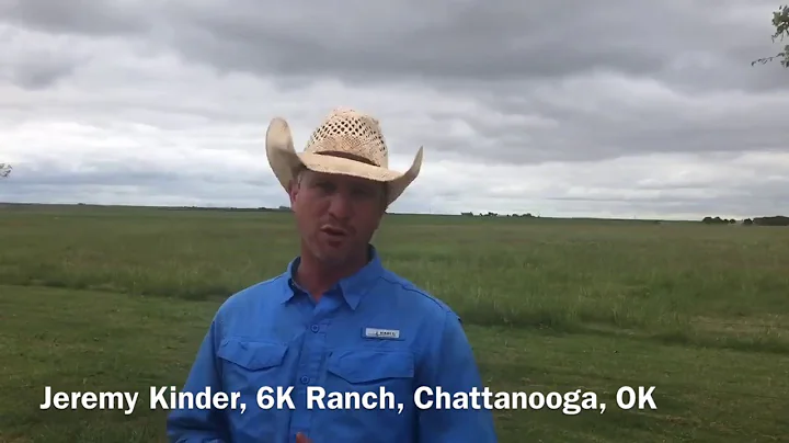 Jeremy Kinder vistas about the Steer Carcass Chall...