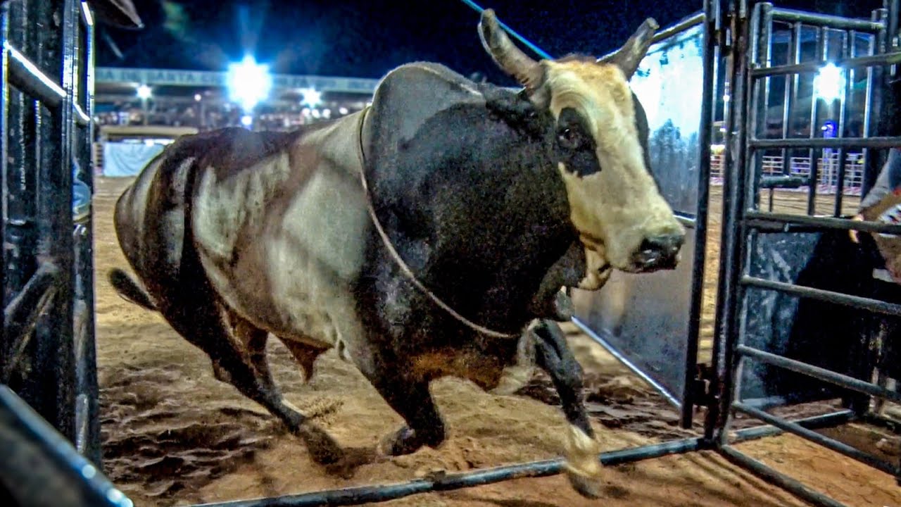 Rodeio de SANTA CRUZ DO RIO PARDO 2026 (SÁBADO / MELHORES MOMENTOS)