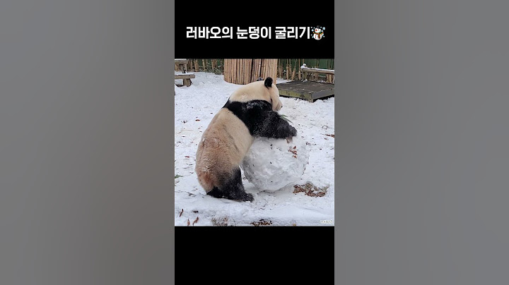 러바오의 눈 굴리기☃️ 눈판다 한번  만들어볼까요~?🎅 #러바오 #Lebao #panda