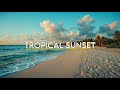 Tropical Deep House Beach Mix 2026 🌴 Relaxing Summer EDM Vibes