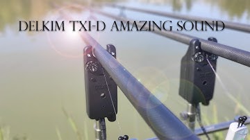 Delkim TXI-D I Carp Run I Amazing Sound