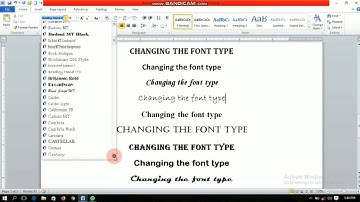 Class 5 Ch-4 Formatting A Document (part 1)