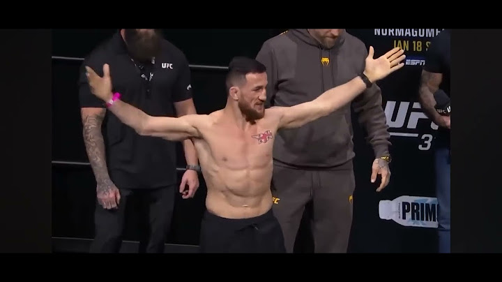 Битва взглядов и финальные слова UFC 311