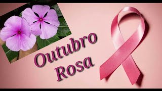 Movimento Outubro Rosa vem ver as lindas flores rosas - thptnganamst.edu.vn