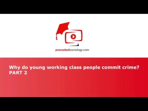 why young people commit crime Juvenile delinquency why do juveniles commit crimes in most states lack of finances can also contribute to juvenile delinquent crimes as young people resort to stealing to improve their economic condition. why young people commit crime Juvenile delinquency why do juveniles commit crimes in most states lack of finances can also contribute to juvenile delinquent crimes as young people resort to stealing to improve their economic condition.