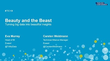 Exasol | Beauty and the beast - turning big data into beautiful insights