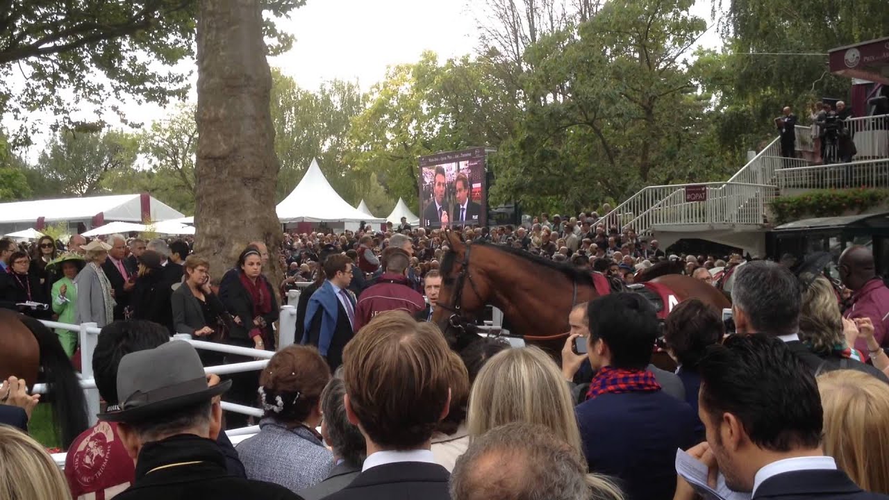 Qatar Prix de l'Arc de Triomphe (parade ring)