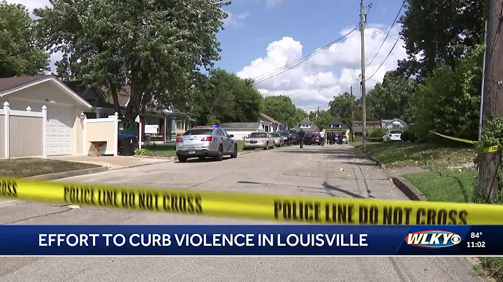 Community leaders call for action to address gun violence in Metro