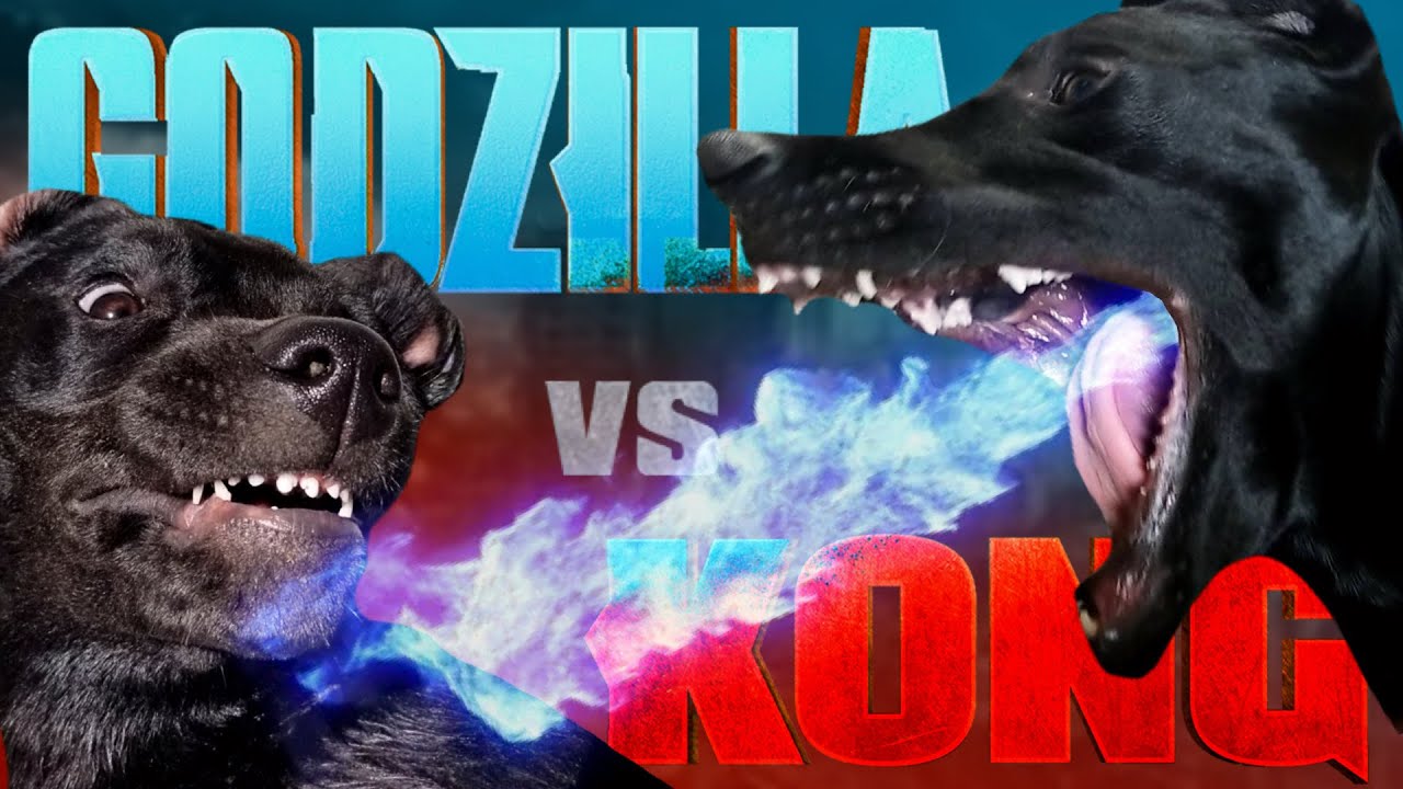 Godzilla vs. Kong Trailer