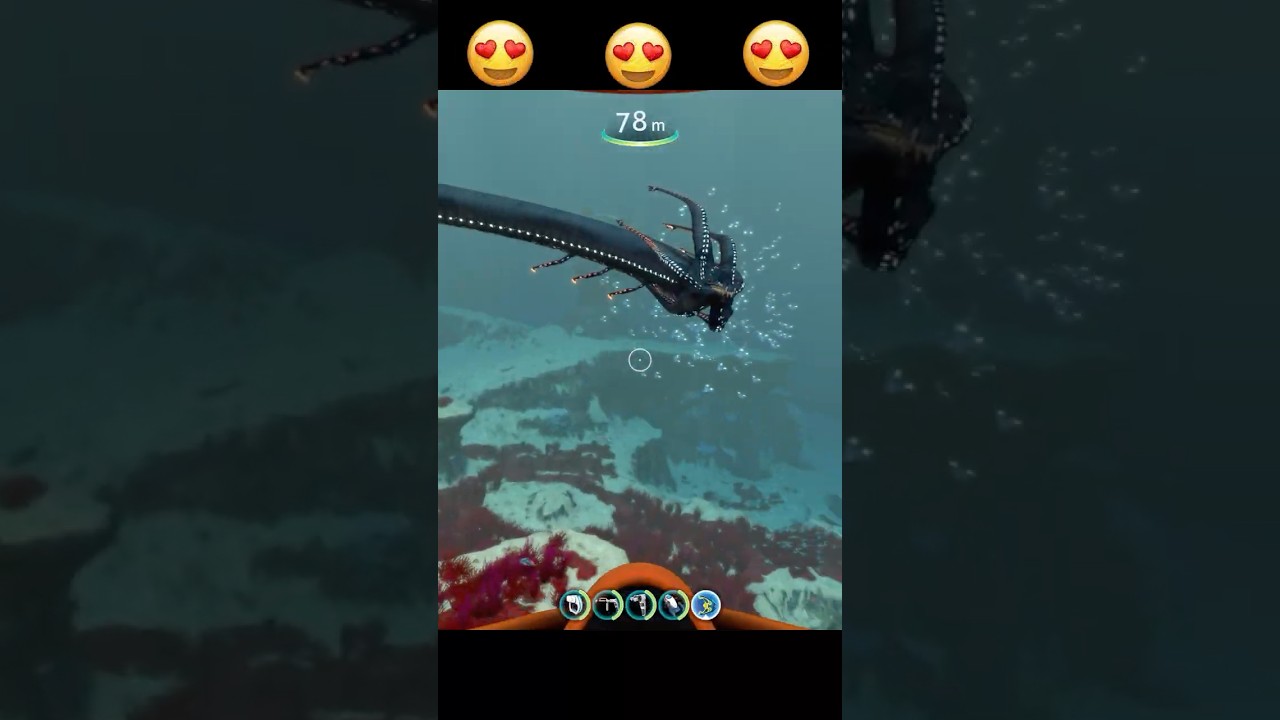 I Found This Cute Baby Water Dragon... 