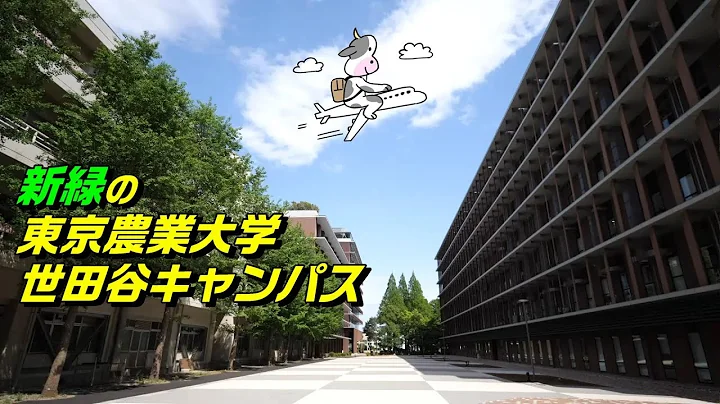 新緑の東京農業大學世田谷キャンパス 2023 - 天天要聞