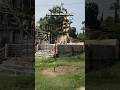 #viralvideo #food #ytshorts #trending #travel #relatable