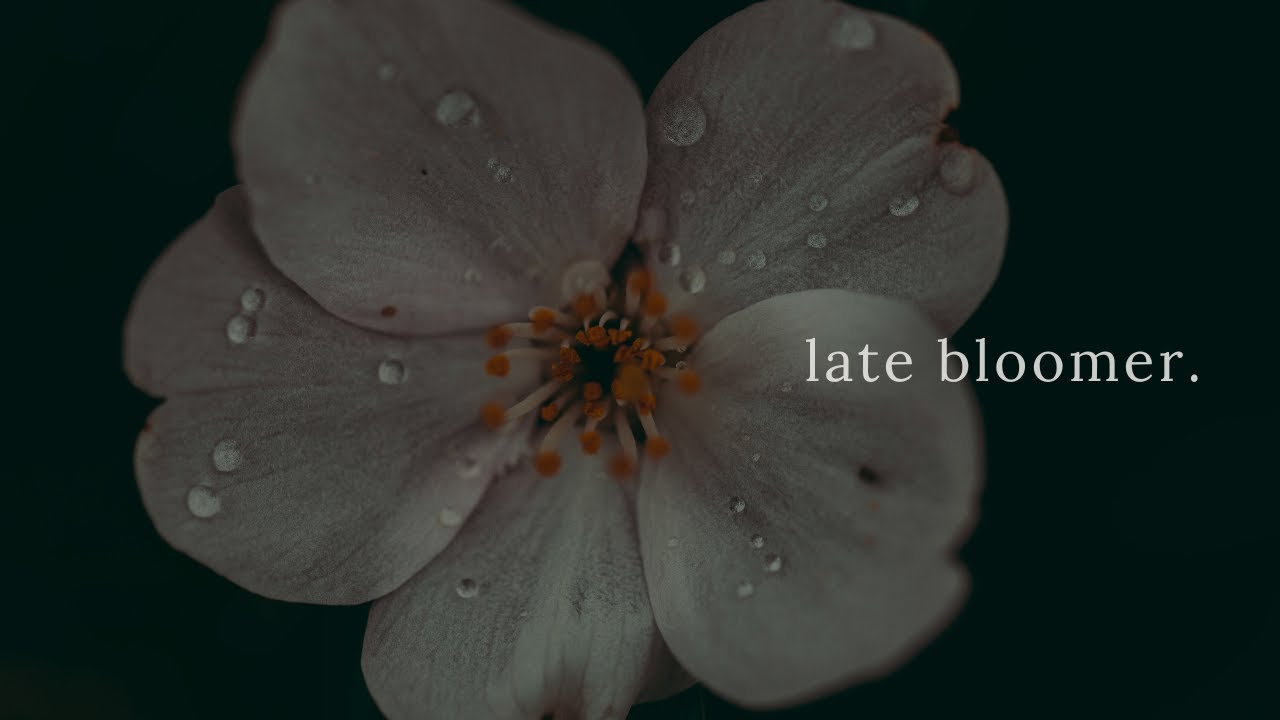 Watch a song for people who feel behind in life | "Late Bloomer" on YouTube Watch a song for people who feel behind in life | "Late Bloomer" on YouTube