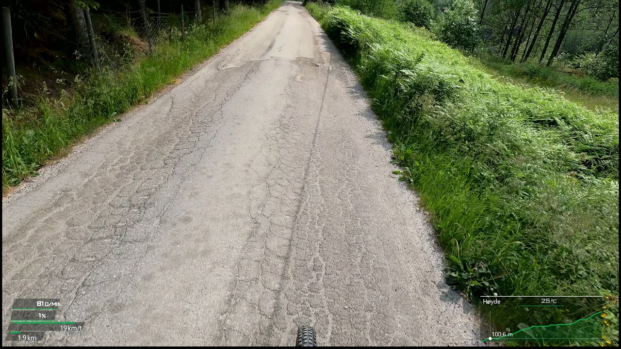 Rallarvegen Flåm Myrdal Kårdal