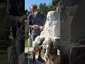 Creating A Stone Sculpture Sculpting Stonecarving Art Stoneart 