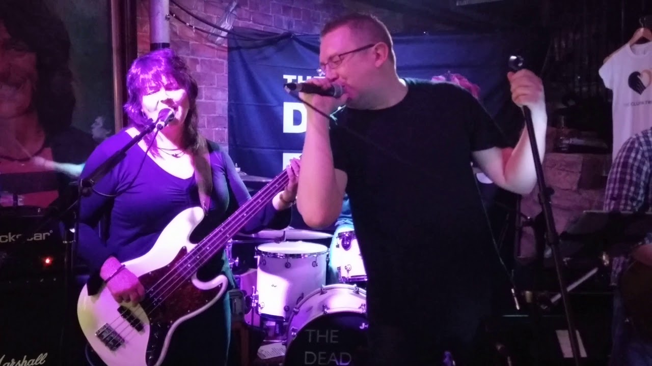 The Dead Flowers Rock the Clutha! GIMMESHELTER👅 YouTube