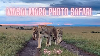 Photo Safari in Kenya - The Big Cats of the Masai Mara