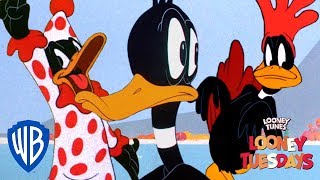 Daffy Duck Snapshot | Looney Tuesdays | WB Kids