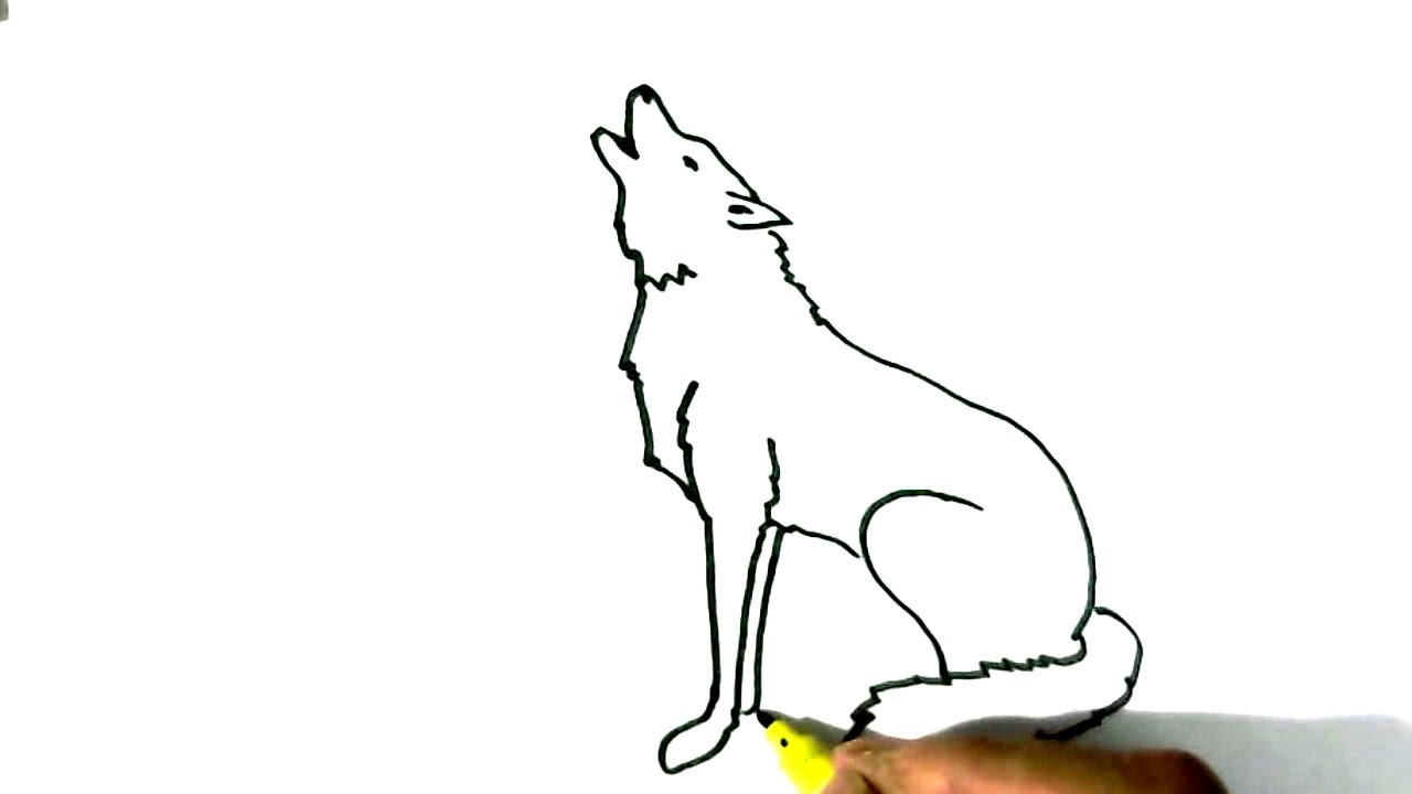 simple howling wolf drawing