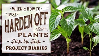 ★ When &amp; How to Harden off Plants (What to know before Planting Out)