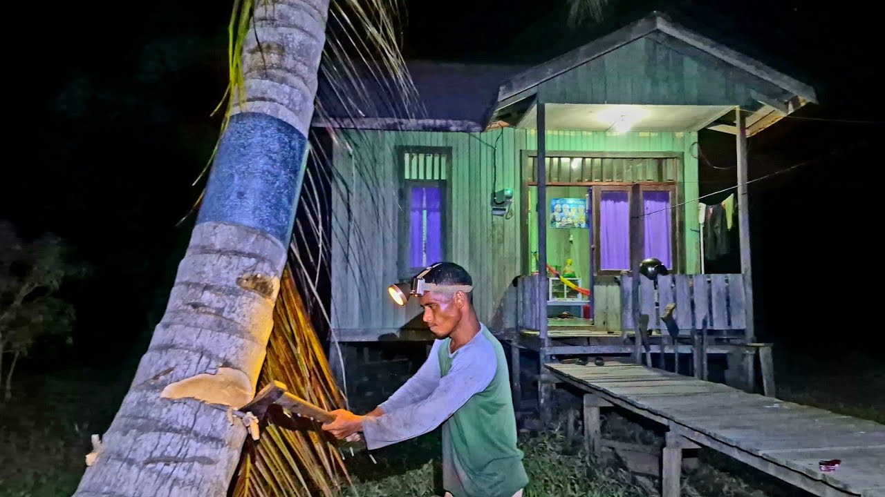MALAM-MALAM TEBANG KELAPA! CERITA SERU WARGA TANI DARI PERMUKIMAN TRANSMIGRASI KALIMANTAN UTARA