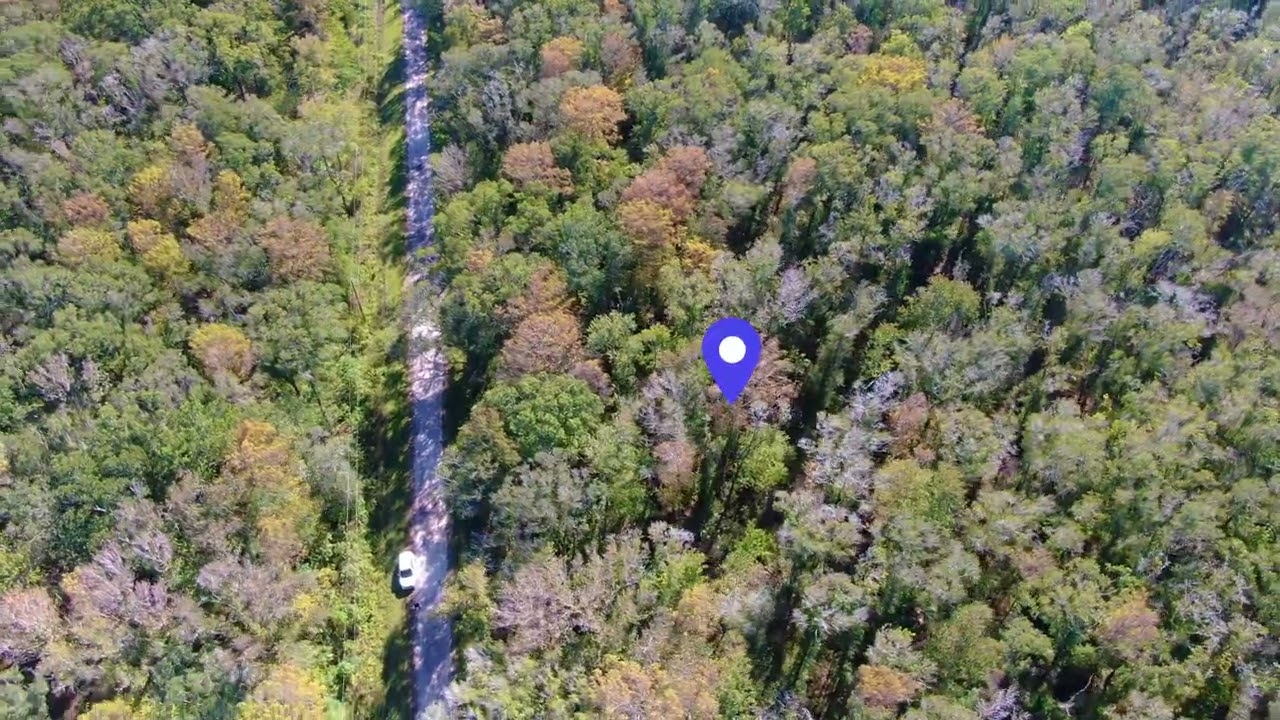 SOLD - 1.14 Acres – Power & Gravel Road Access! In Hastings, Saint Johns County FL.
