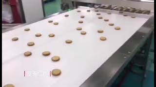 multi lane biscuit stacker with auto tray filling system