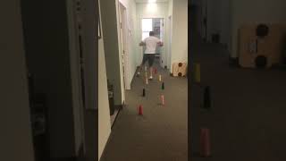 IMG 1955