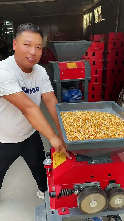 #New corn petal breaking machine with an hourly output of 8000 #Farming and fattening sheep,