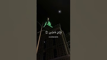 ﴿ يَا عبادِي الذِين آمنُوا إِن ارضِي وَاسِعَة ﴾ سوره العنكبوت الأية 56 عبدالرحمن مسعد  #قران كريم