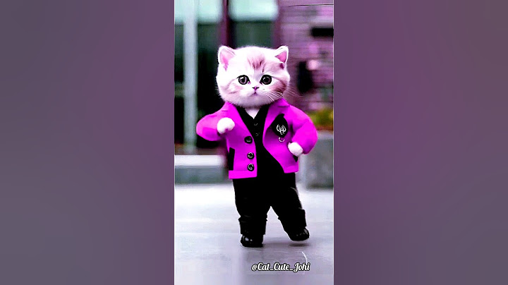 Crazy Cute Cat Dancing 💜😹 | #cutecat #cats #cat #dancingcat #catvideos #shortfeed #viralshorts #f33