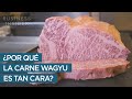 ¿Por qué la carne de Wagyu es la más cara del mundo?