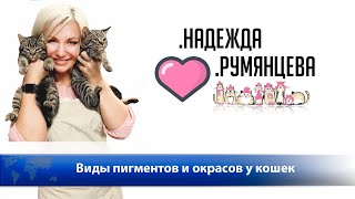 Виды пигментов и окрасов у кошек. Практическая фелинология.