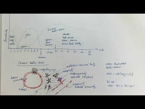 Video: TSC Pacientem Odvozené Isogenní Nervové Progenitorové Buňky Odhalují Změněné časné Neurodevelopmentální Fenotypy A Rapamycinem Indukovanou MNK-eIF4E Signalizaci