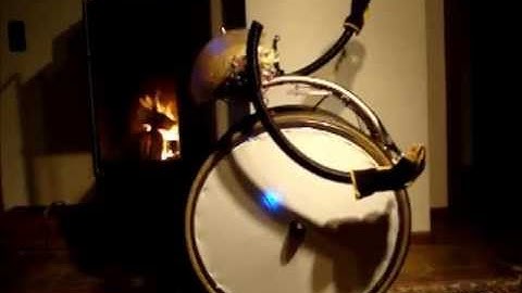 Fritz Bibot Dynamic Response