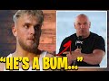 Jake Paul Responds To Dana White Calling Him Out