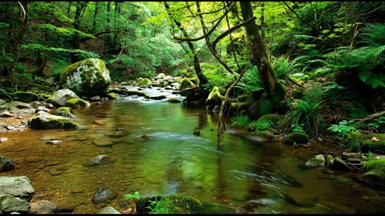 8 HOURS of Deep RELIEF Music​MELTS Stress & Anxiety Away (Ultimate Alpha Waves) FINALLY, Peace.29