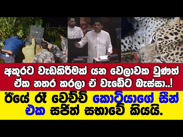 මේවට අපිත් වගකියන්න ඕනි! බොක්කෙන්ම ස්තුති කරමින් ඊයෙ රෑ වෙච්චි කොටියගේ සීන් එකේදී වුණ දේට  කියයි