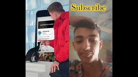 #penguin #helpmemakethismakesense #automobile #challenge #funny #tech #duet #hiphopindiadancerealt