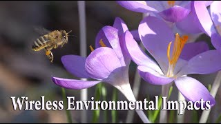 Wireless Environmental Impacts To Biodiversity