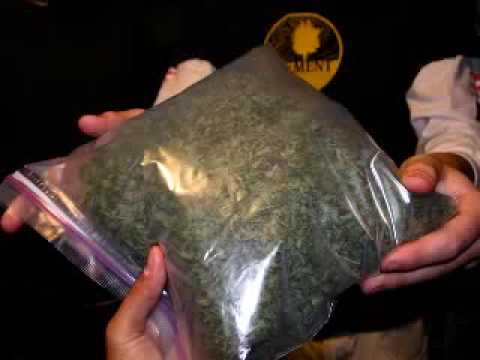Promoting_Legalization_Of_Ganja