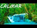 Música Relajante 24/7 🔴 Calmar la Mente 6 - Relajación y Dormir