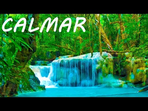 Música Relajante 24/7 🔴 Calmar la Mente 6 - Relajación y Dormir